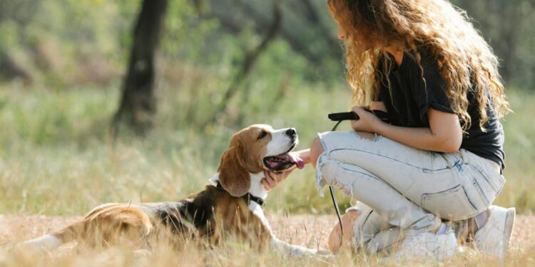 Montpellier, ville "dog-friendly" : 48 rendez-vous gratuits pour éduquer votre chien