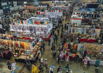 TGS Montpellier  : Le rendez-vous pop culture à ne pas louper