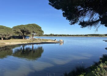 Une semaine de vacances ensoleillée à Montpellier