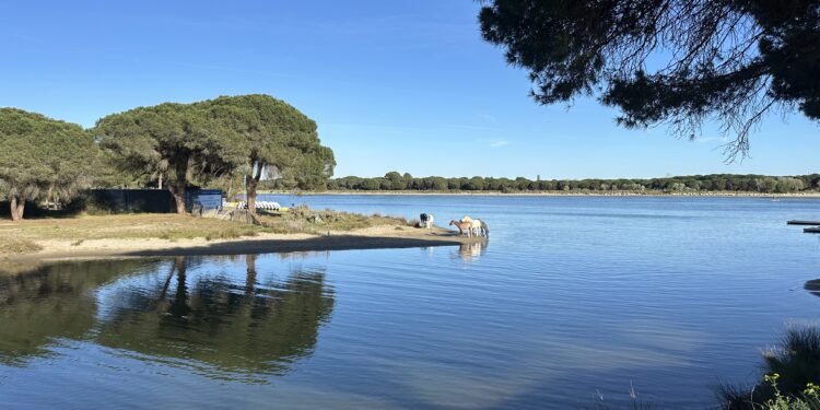 Une semaine de vacances ensoleillée à Montpellier