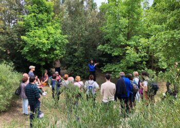 Agglo de Lunel : Le grand jardin l'arboretum fête le Printemps