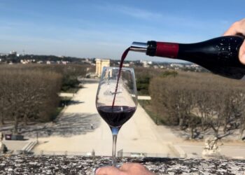 Vins Pays d’Oc IGP : Les 51 cuvées qui vont faire vibrer votre été 2026