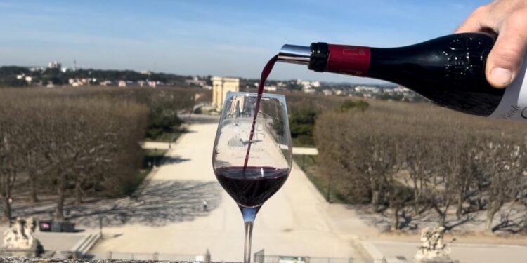 Vins Pays d’Oc IGP : Les 51 cuvées qui vont faire vibrer votre été 2026