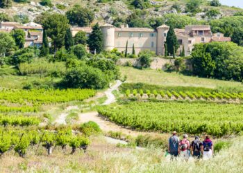 Deux randos vignes et terroirs au goût du Languedoc à Saint-Saturnin et à Cabrières