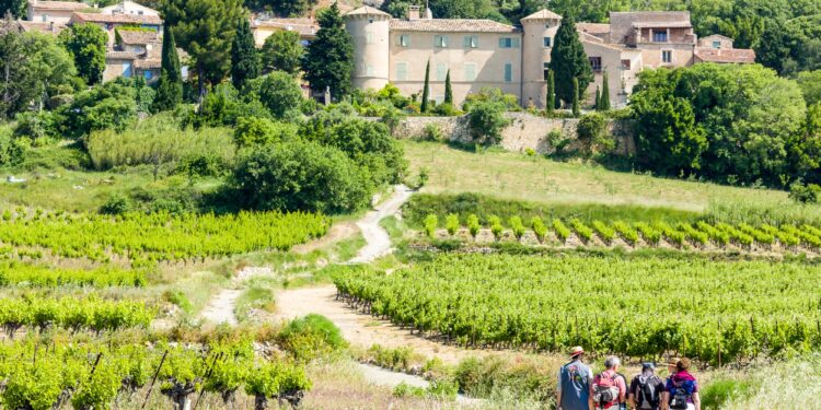 Deux randos vignes et terroirs au goût du Languedoc à Saint-Saturnin et à Cabrières