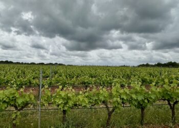 Météo : Entre averses et éclaircies pour ta semaine à Montpellier