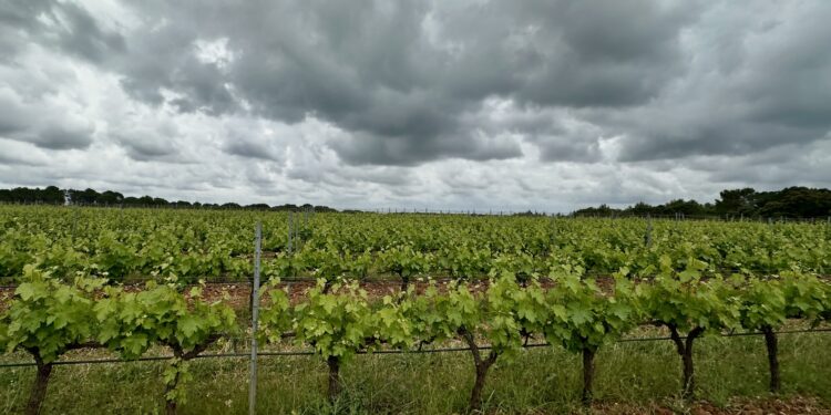 Météo : Entre averses et éclaircies pour ta semaine à Montpellier