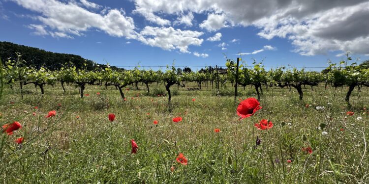 Un jour férié sous le soleil avant un dimanche pluvieux