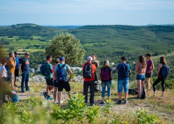 Grand Pic Saint-Loup : La saison œnotouristique 2026 s’annonce festive et sensorielle
