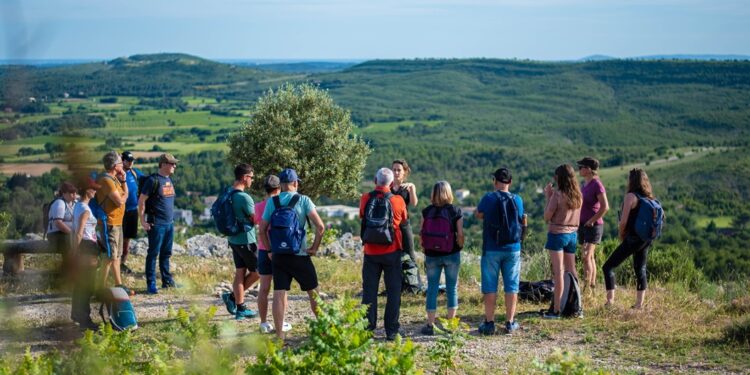 Grand Pic Saint-Loup : La saison œnotouristique 2026 s’annonce festive et sensorielle