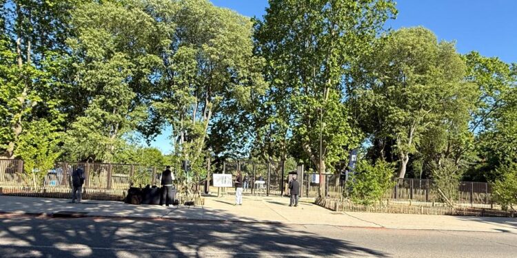Montpellier : Le Parc Montcalm s’offre une nouvelle entrée « majestueuse » avenue de Toulouse