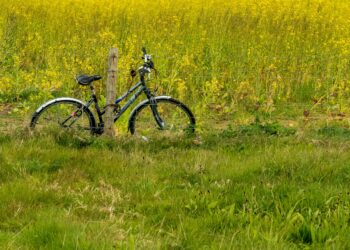 Une balade à vélo festive et engagée à Lunel pour les 40 ans de Biocoop