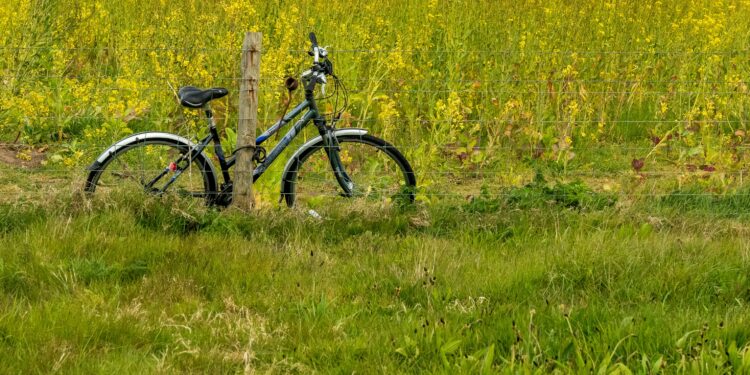 Une balade à vélo festive et engagée à Lunel pour les 40 ans de Biocoop