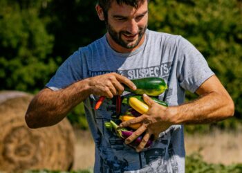 L'Occitanie met à l'honneur les produits bio de nos producteurs régionaux