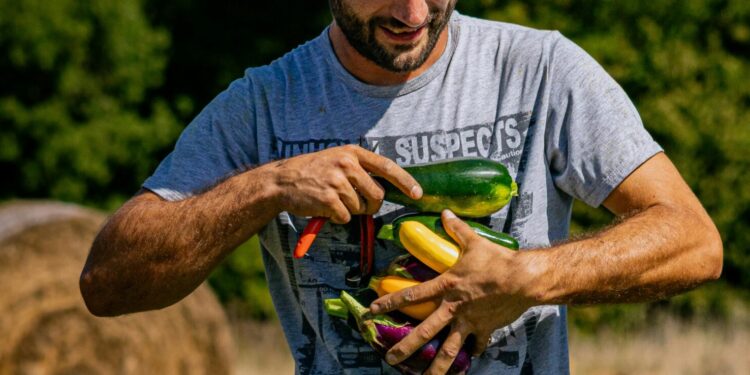 L'Occitanie met à l'honneur les produits bio de nos producteurs régionaux