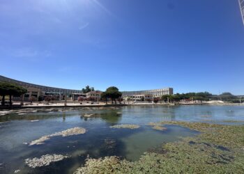 Lundi 15 juin : La semaine démarre fort avec un soleil radieux du matin au soir. Le thermomètre grimpera jusqu'à 34° à Lattes à 36° à Lunel l'après-midi. La nuit restera douce autour de 22°. On aura du vent vers les 45km/h. Mardi 16 juin : Le ciel reste magnifiquement bleu et bien dégagé. Les températures baissent d'un tout petit cran mais restent très chaudes, avec des maximales autour de 29° sur le Petit Travers à 33° quartier des Beaux-Arts. Comptez 18° le matin à Palavas. Mercredi 17 juin : Toujours un grand soleil sans l'ombre d'un nuage. C'est la journée la plus respirable de la semaine avec des valeurs de saison : 29° au plus chaud de la journée et 18°C la nuit. Jeudi 18 juin : Les conditions restent idéales et très ensoleillées. Le mercure repart légèrement à la hausse pour atteindre 28° sur les côtes à 31° rue de la Loge. Le vent de secteur Sud apportera un peu de fraîcheur sur le littoral. Vendredi 19 juin : Un grand ciel bleu accompagne votre début de week-end. Les températures se maintiennent autour de 30° l'après-midi place de la Comédie, avec une ambiance calme et peu de vent. Samedi 20 juin : Le soleil brille sans partage et la chaleur s'accentue nettement. Comptez 31° au meilleur de la journée pour la Marche des Fiertés. Dimanche 21 juin : Pour le premier jour de l'été, l'ambiance sera lourde et très chaude. Le thermomètre affichera 33° à 34° avec un ciel toujours parfaitement dégagé pour la Fête de la Musique.