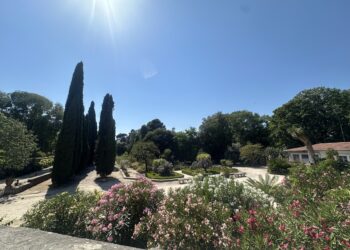 Météo : Soleil, glaçons et ventile pour ton week-end à Montpellier