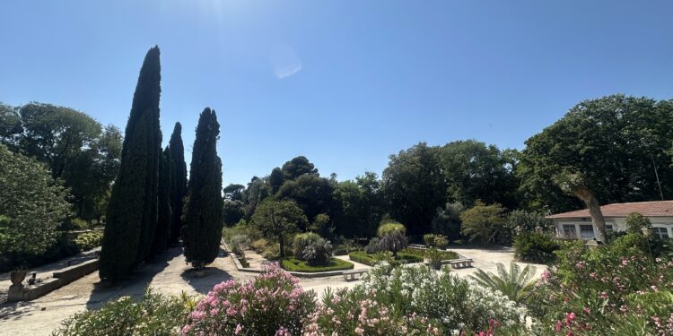 Météo : Soleil, glaçons et ventile pour ton week-end à Montpellier