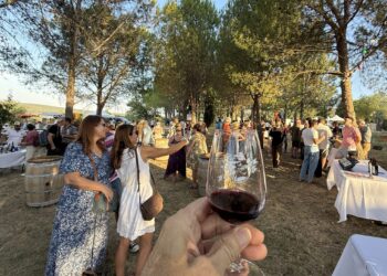 Vinissime fête ce soir les 40 ans du Concours des vins de la Vallée de l’Hérault