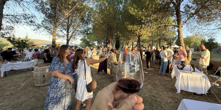 Vinissime fête ce soir les 40 ans du Concours des vins de la Vallée de l’Hérault
