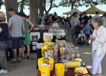 Montpellier : Trouvez la perle rare pour votre extérieur à l'édition spéciale des Dimanches du Peyrou