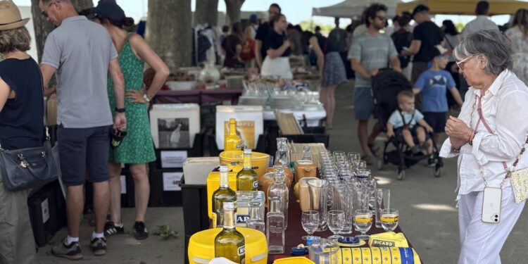 Montpellier : Trouvez la perle rare pour votre extérieur à l'édition spéciale des Dimanches du Peyrou