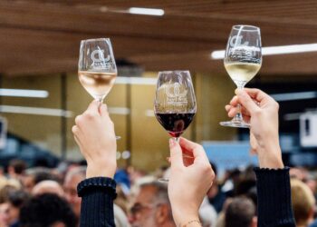Gagnez votre soirée au grand défilé des Vins Pays d’Oc IGP et repartez avec un carton de vin