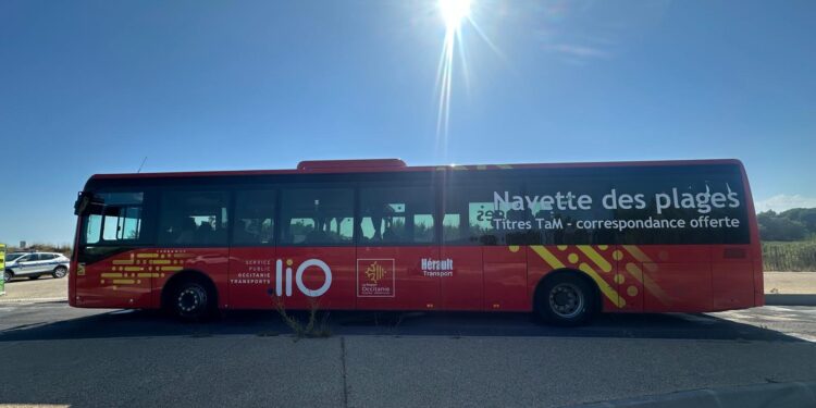 Voyager en Occitanie cet été : 5 bons plans transports à ne surtout pas rater