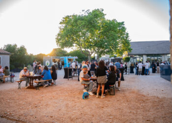 Lattes : Le Domaine de Causse transforme son vignoble en Beach Party géante