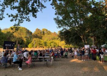Vos vendredis soir sous le signe du vin et de la fête à Saint-Jean-de-Védas