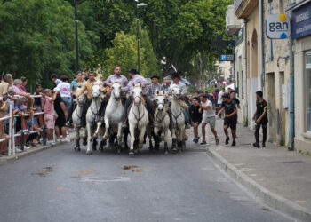 Entre fête votive et féria, Lunel lance sa Pescalune