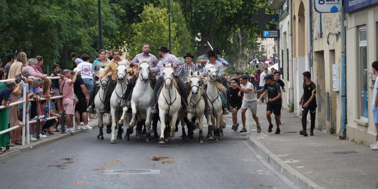 Entre fête votive et féria, Lunel lance sa Pescalune