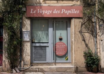 Le Voyage des Papilles : un tour du monde culinaire à Montpellier