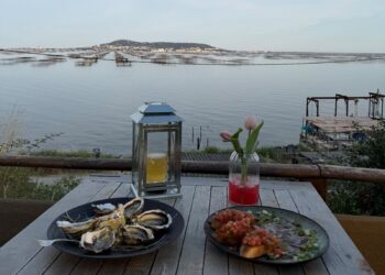Le TUB prend le large : le bar caché de Montpellier s'installe au bord de l'eau cet été