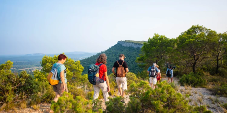 L’été se vit au coucher du soleil dans le Grand Pic Saint-Loup