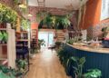 Botan Café : Le coffee shop où les plantes sont les stars