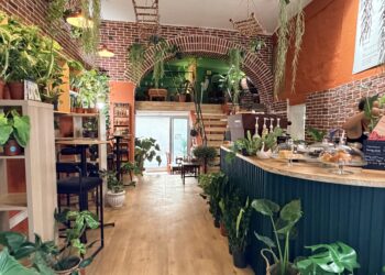 Botan Café : Le coffee shop où les plantes sont les stars
