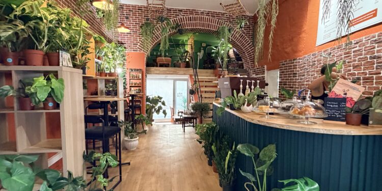 Botan Café : Le coffee shop où les plantes sont les stars