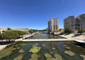 Montpellier : une météo bouillante avec jusqu'à 41° attendus