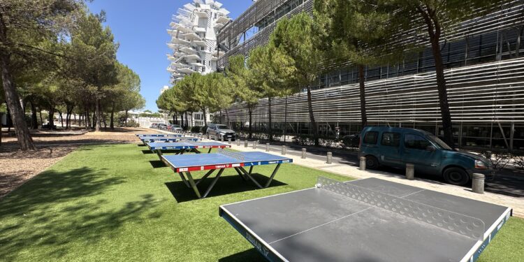 Montpellier : Des tables de ping-pong en libre-service devant la BU Richter