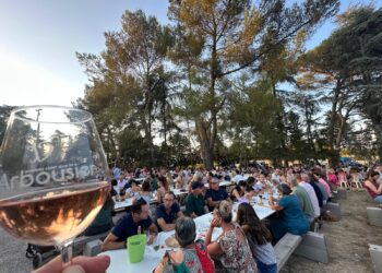 Les Vin’Estivales de l'Arbousier : Le rendez-vous festif de votre vendredi estival