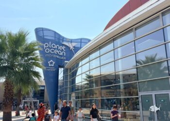 Planet Ocean Montpellier : un voyage des abysses jusqu’aux étoiles à Odysseum