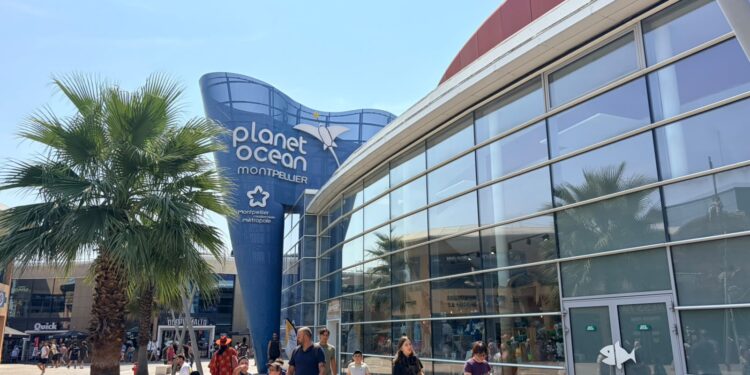 Planet Ocean Montpellier : un voyage des abysses jusqu’aux étoiles à Odysseum