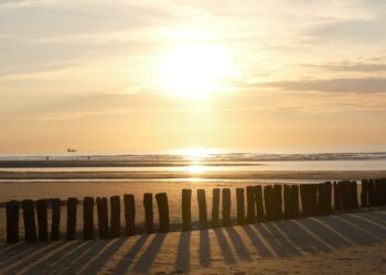 Éclipse solaire du 12 août : Où observer le "Soleil noir" à Montpellier et sur le littoral