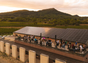Un afterwork à la bergerie du Capucin au cœur du Pic Saint-Loup