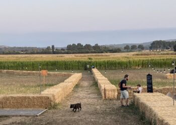 En journée ou en nocturne : affrontez le grand labyrinthe de maïs de Fabrègues