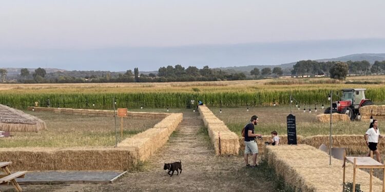 En journée ou en nocturne : affrontez le grand labyrinthe de maïs de Fabrègues