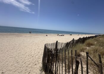 Météo : ça va moins transpirer pour ton week-end à Montpellier