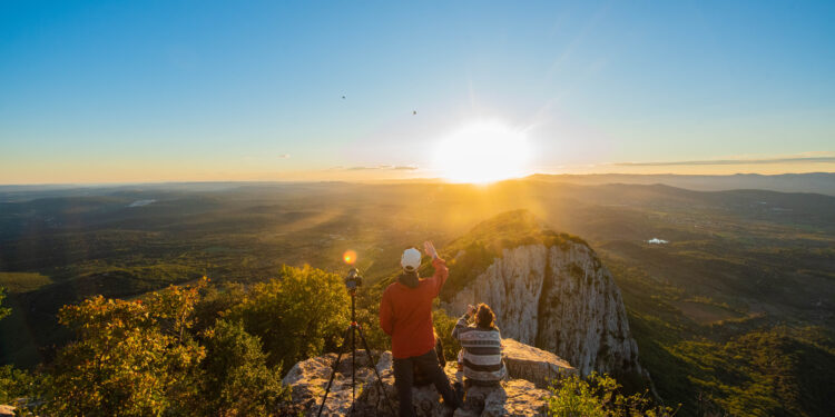 Grand Pic Saint-Loup : L'été joue les prolongations dans les vignes