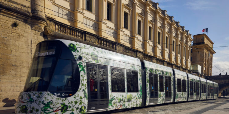 Ligne 5 renforcée et bus adaptés : le réseau TaM fait sa rentrée le 31 août